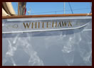 thumbnail: whitehawk sign